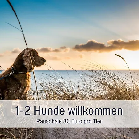 Апартаменты Penthouse - 3 Schlafzimmer- Sonnige Dachterrasse -whirlpool & Alpenblick - Perfekt Fuer Romantik Oder Familienurlaub Mit Kind, Hund Willkommen - By Ferienwohnenamsee - *