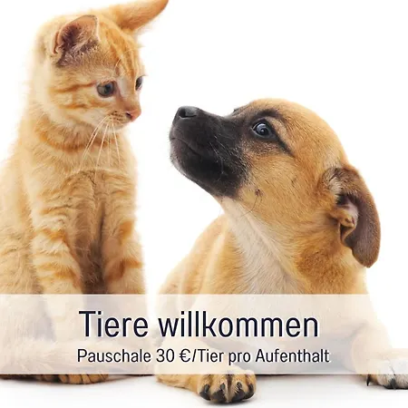 Apartment Penthouse - 3 Schlafzimmer- Sonnige Dachterrasse -whirlpool & Alpenblick - Perfekt Fuer Romantik Oder Familienurlaub Mit Kind, Hund Willkommen - By Ferienwohnenamsee -