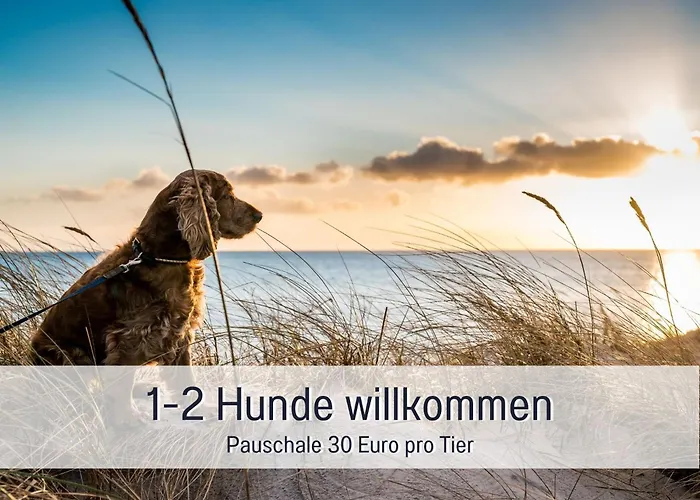 Апартаменты Penthouse - 3 Schlafzimmer- Sonnige Dachterrasse -whirlpool & Alpenblick - Perfekt Fuer Romantik Oder Familienurlaub Mit Kind, Hund Willkommen - By Ferienwohnenamsee - *